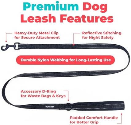 Best Pet Supplies Voyager Nylon Dog Leash - Black, Medium