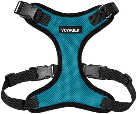 Voyager Step-in Lock Dog Harness - Turquoise/Black Trim, Large