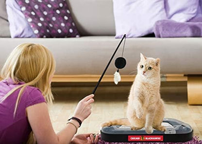 Pets First 5-in-1 NHL Chicago Blackhawks Hockey Field Cat Scratcher Toy with Interactive Cat Ball Bell in Tracks