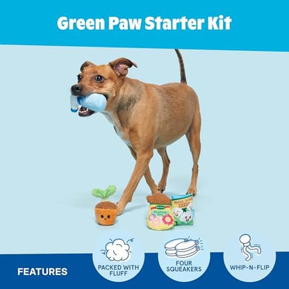 BarkBox Green Paw Starter Kit Dog Toy - Toy for Extra Small to Small Dogs