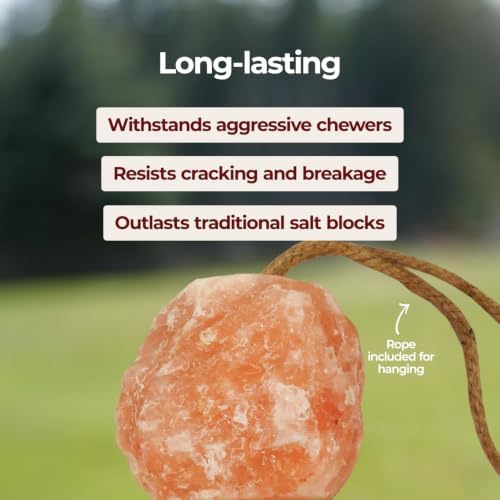Horsemen's Pride Himalayan Salt Block on Rope for Horses, 2.2 Pounds, SS22