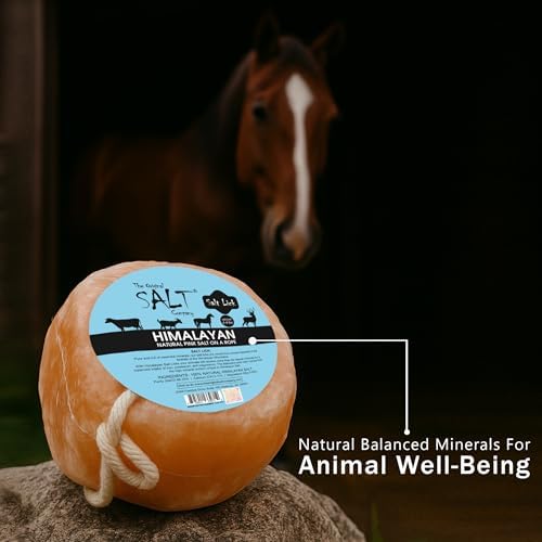 Himalayan Salt Lick for Horses & Livestock – 4 Pack (4.4 lb Each) | 100% Natural Pink Salt on Rope | Supports Hydration, Digestion & Overall Wellness (4)