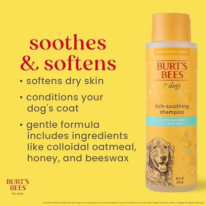 Burts Bees for Pets Itch Soothing Dog Shampoo, Honeysuckle, 16 Fl Oz, 6-Pk