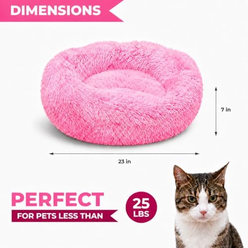 Whiskers & Friends Cat Beds for Indoor Cats, Fluffy Pink Cat Bed Small Dog
