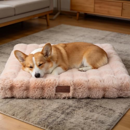 Washable Orthopedic Dog Bed Medium Size Dog, 30"x20" Light Khaki
