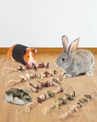 DBNESS 6PCS Bunny Chew Toys, Hamster Rabbit Cage Hanging Chew Toys, Natural Apple Wood Bunnies Treats, Improve Small Animal Teeth Health for Guinea Pig Chinchilla Ferret Rats Gerbil