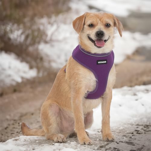 Best Pet Supplies Voyager Aerolite Over the Head Dog Harness, No Pull Breathable Air Mesh Vest, Quick Dry with Reflective Stitching, Adjustable Escape Resistant Harness - Purple, Large