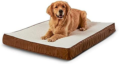 Happy Hounds Oscar Rectangle Orthopedic Foam Sherpa Dog Bed, Large (48 x 36 in.), Mocha