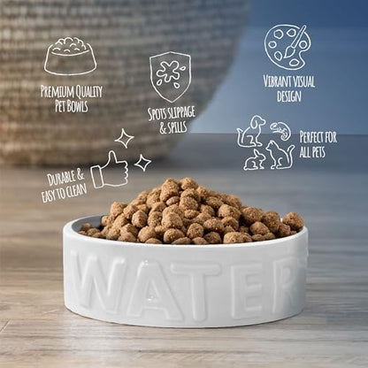 Park Life Designs Pet Bowl | Classic Water (Large, White) Improved Packaging that Will not Cause The Damage