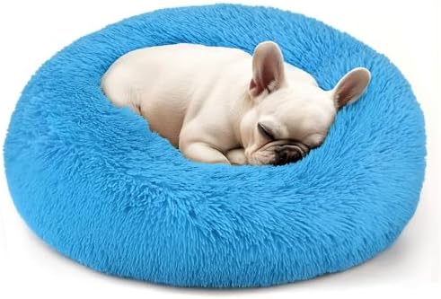 Hoewina Dog & Cat Bed, 20in Cat Beds for Indoor Cats (Light Blue)