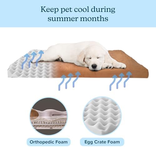 PETMAKER Dog Bed with Removable Cover – 44x35 Pet Bed - 3-Inch Egg Crate Style Foam Orthopedic Dog Mattress, Microsuede, and Non-Slip Crate Pad (Clay)