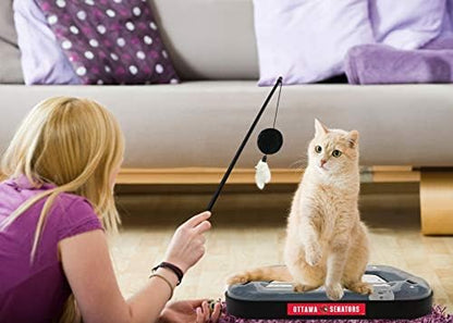 Pets First NHL Ottawa Senators Hockey Field Cat Scratching Toy - 5-in-1 Interactive Scratcher With Ball Bell in Tracks