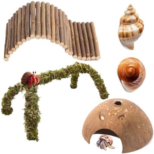 Hermit Crab Accessories – 5PCS Natural Hermit Crab Toys Climbing Bridge, Shells, Coconut Hideout, Moss and Plants for Hermit Crabs Habitat & Reptile Tank Decor