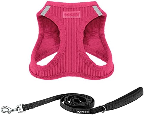 Best Pet Supplies Voyager Step-in Plush Dog Harness - Soft, Step in Vest Harness and Reflective Dog 5 ft Leash Combo with Neoprene Handle for Small and Medium Dogs, Fuchsia Corduroy, M