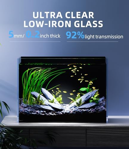 5 Gallon Glass Fish Tank Rimless with Black Background Rectangular Tank