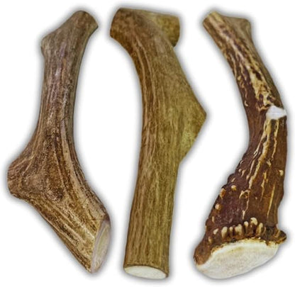WhiteTail Naturals 3 Pack Whole Deer Antlers for Large Dogs - 7 Inches