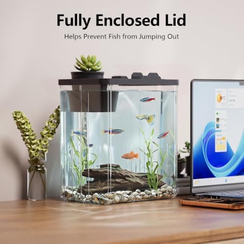 2 Gallon Betta Fish Tank Aquarium Starter Kit with Light and Lid(Black)
