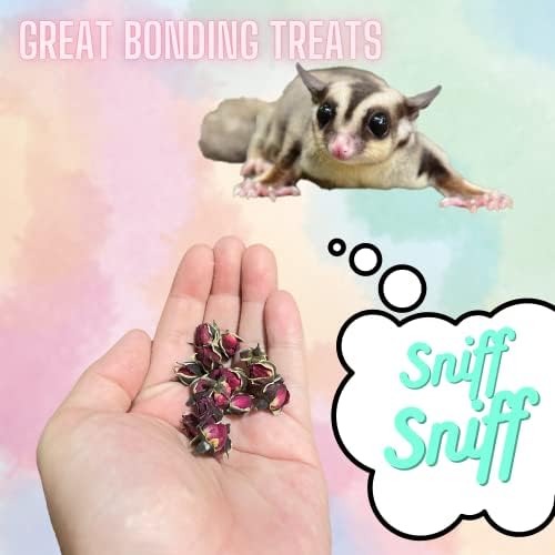 Edible Dried Rose - Made with Real Flower - Cage Decoration, Snacks and Food - for Sugar Glider, Rabbits, Guinea Pigs and Small Animal Pet (10g)