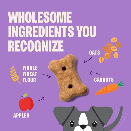 Wellness Old Mother Hubbard Hip & Joint Dog Biscuits, Natural Training Treats, Chicken, Apple, Oats, and Carrot Flavor, Mini Size, 20 oz Bag