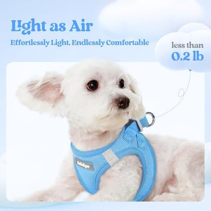 rabbitgoo Dog Harness Small Sized and Leash Set, Step-in Puppy Pet Vest