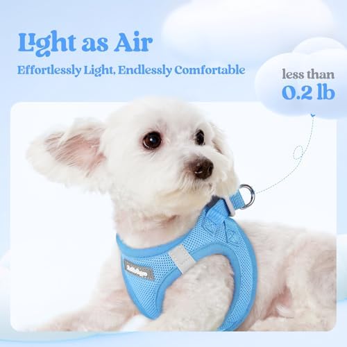 rabbitgoo Dog Harness Medium Sized and Leash Set, Step-in Puppy Pet Vest
