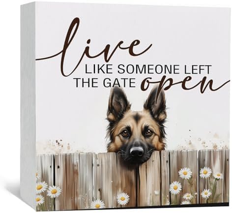 Belgian Malinois Signs - Farm Cottagecore Animal Office Kitchen Bedroom Decor,Rustic Farmhouse Live like Someone Left the Gate Open Home Decor Signs,Belgian Malinois Gifts for Women,6x6