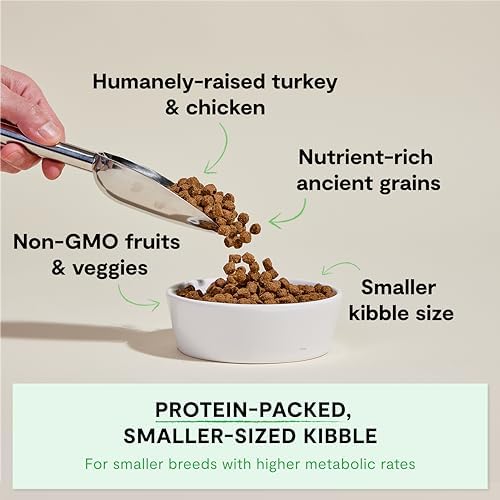 Open Farm Ancient Grains Dry Dog Food, Small Breed Kibble, 11lb Bag