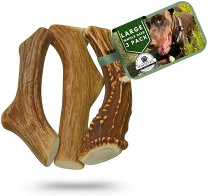WhiteTail Naturals 3 Pack Whole Deer Antlers for Large Dogs - 7 Inches