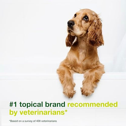 Douxo S3 SEB Dog Seboregulating Shampoo, 0.5% Ophytrium, 16.9 fl oz