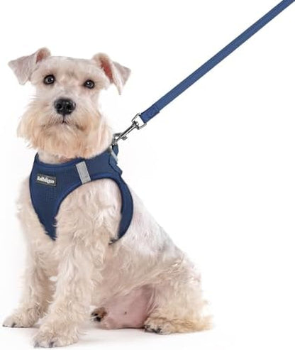 rabbitgoo Dog Harness Medium Sized and Leash Set, Step-in Puppy Pet Vest