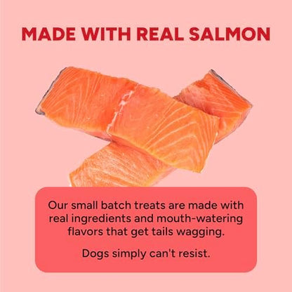 Cloud Star Dynamo Dog Skin & Coat Soft Chews Grain Free Dog Treats, Salmon, 14 oz. Pouch