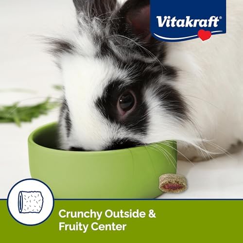 Vitakraft Bursts Small Animal Treat Wildberry Flavor 1.76 oz - Crispy Outside with Soft Berry Center - Fun Reward Snacks for Rabbits Guinea Pigs Hamsters and Other Small Pets