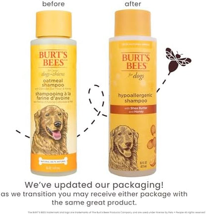 Burts Bees for Pets Hypoallergenic Dog Shampoo, 16 Fl Oz, 6-Pack