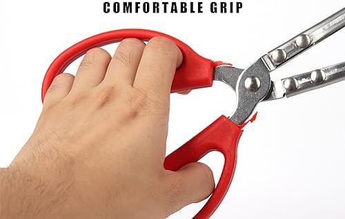 Snake Feeding Tongs, Ball Python Tank Accessories Supplies fit Corn Snakes
