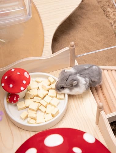 Niteangel Hamster Snack & Treats Toy - Freeze-Dried Tofu No Additive