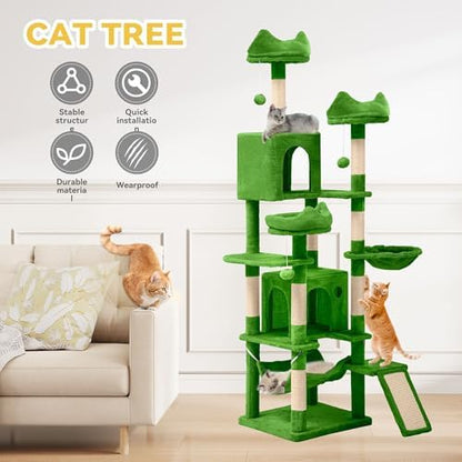 DWVO 75 in Multi‑Level Cat Tower