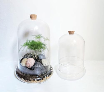 Handblown 10" Glass Terrarium with Opening for Air Flow & Cork Stopper Cloche Style Glass Dome Vivarium Display Case (Large)