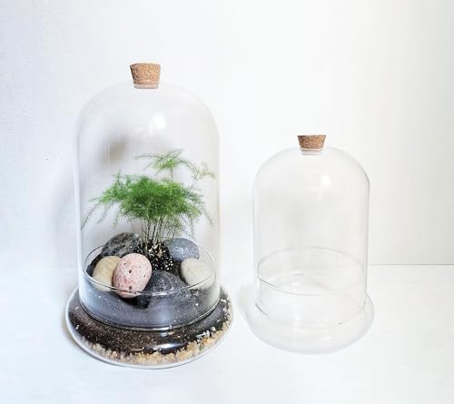 Handblown 10" Glass Terrarium with Opening for Air Flow & Cork Stopper Cloche Style Glass Dome Vivarium Display Case (Large)