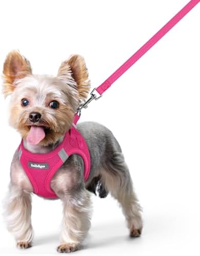 rabbitgoo Dog Harness Small Sized and Leash Set, Step-in Puppy Pet Vest