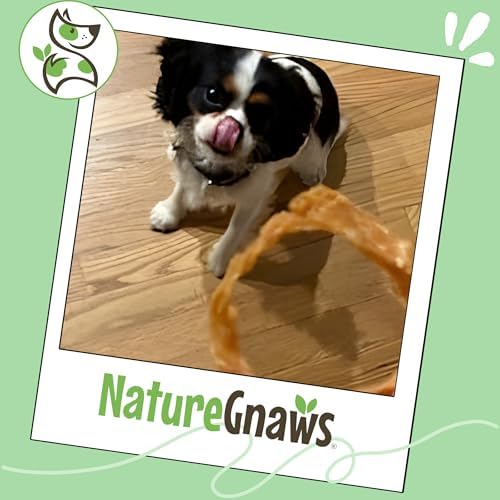 Nature Gnaws USA Turkey Tendon Rings Dog Treats, 8 oz