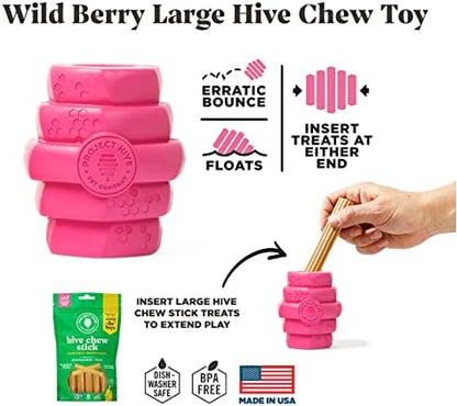 Hive Chew Toy for M/L Dogs – Pink/Wild Berry Scent – Chew, Fetch, & Treat-Dispensing Enrichment Toy, Floats, Made in USA, Pairs with Hive Chew Sticks for M/L Dogs for Longer-Lasting Play