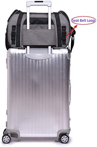 EliteField Soft-Sided Pet Carrier for Cats & Small Dogs (3-Year Warranty)