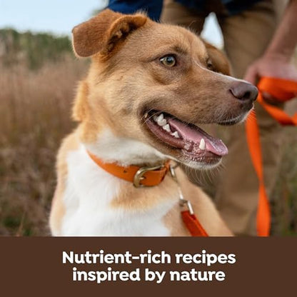 Nature's Recipe Freeze Dried Blend Dry Dog Food, 10.5 lb Bag