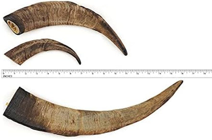 Chews Dried Goat Horns (Small 3 pcs.)