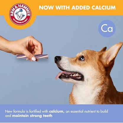 Arm & Hammer Smoothies Dental Dog Chews, Mint Blueberry Mix, 8 Ct