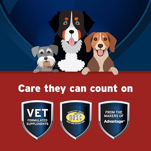 Pet Protect Hip & Joint+ Supplement for Dogs, Chicken Flavor 60ct