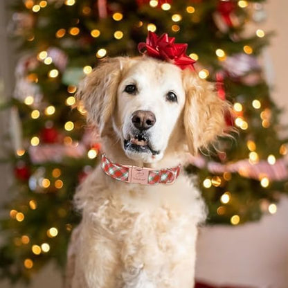Christmas Dog Collar for Puppy Small Dogs - Christmas Red Green Plaid Dog Collars, Adjustable Heavy Duty Pet Winter Holiday Collar with Metal Buckle XS
