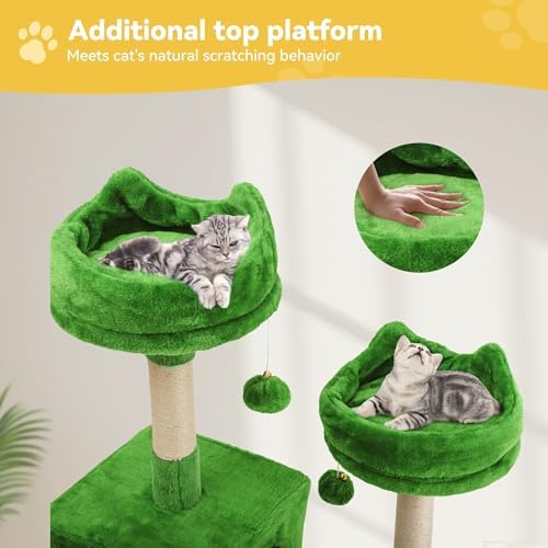 DWVO 75 in Multi‑Level Cat Tower