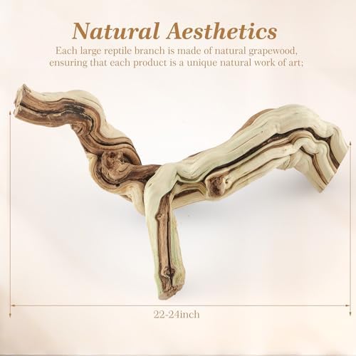 Janinka 22-24" Large Reptile Driftwood Branch for Bearded Dragon Gecko