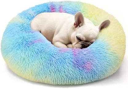 Hoewina Dog & Cat Bed, 20in Cat Beds for Indoor Cats (Rainbow)